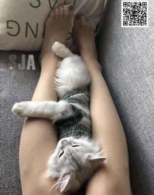 少妇韩国电影_蓝光高清在线观看