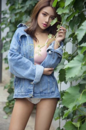 平凡职业成就世界最强_DVD免费观看电视剧
