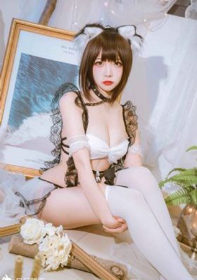 信者无敌1-46集免费_1080P在线手机播放